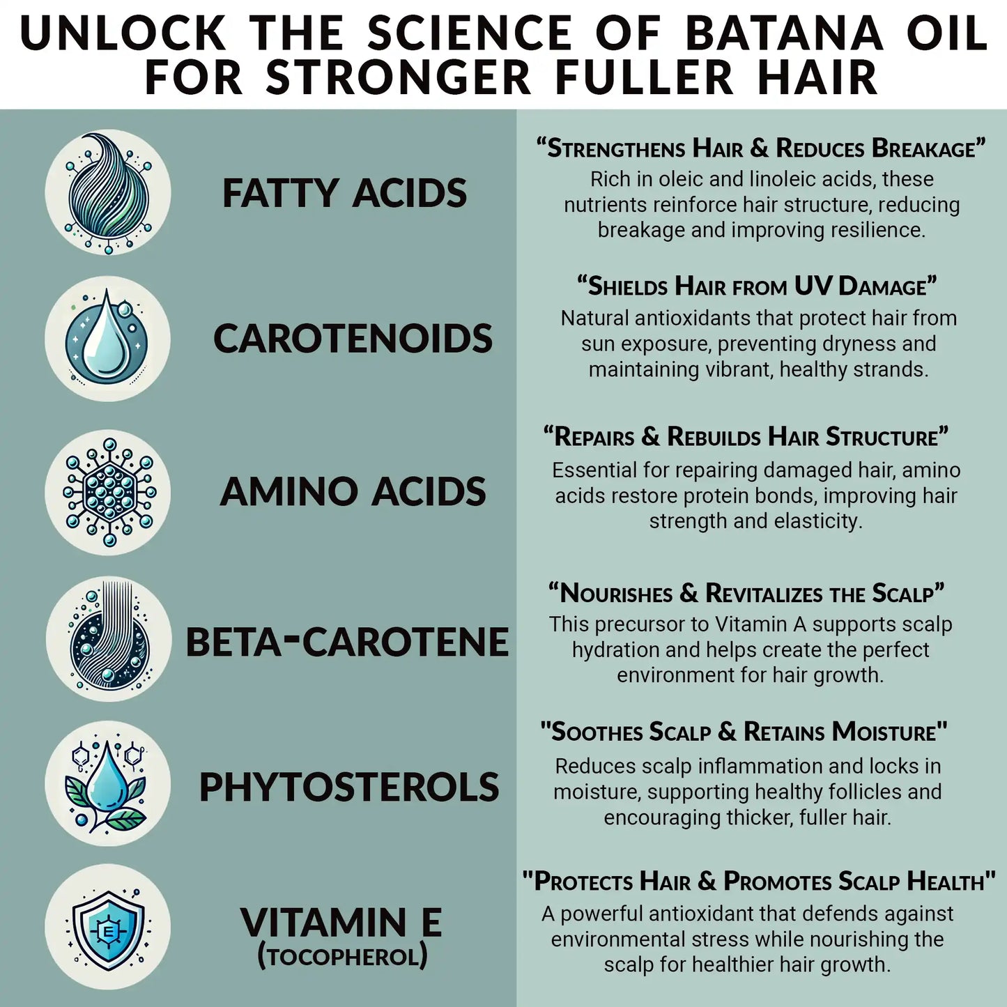 infographic showing benefits of batana oil